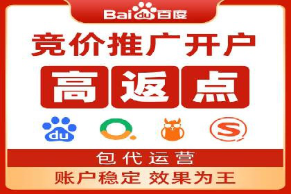 百度竞价公司案例分析：优化策略全解析